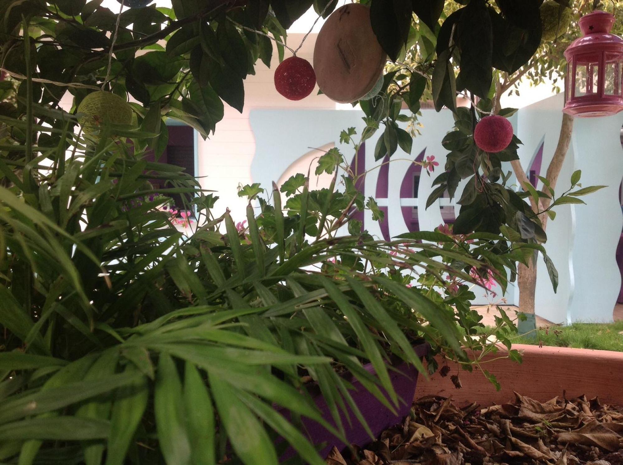 Bed and Breakfast A Casa Di Lolu Grottammare Exterior foto