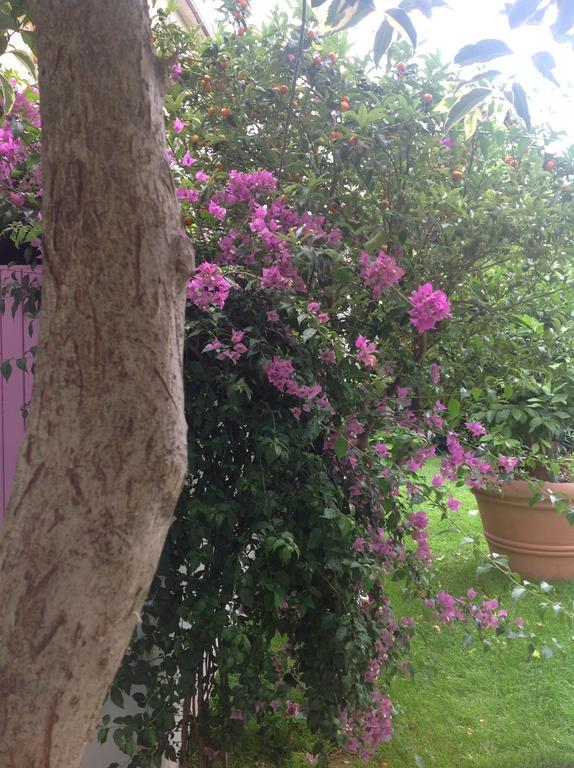 Bed and Breakfast A Casa Di Lolu Grottammare Exterior foto