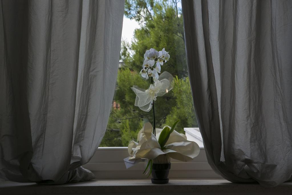 Bed and Breakfast A Casa Di Lolu Grottammare Exterior foto